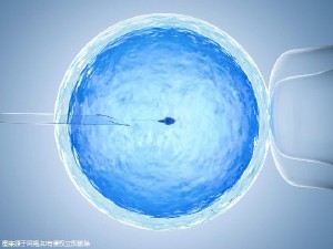 苏医生