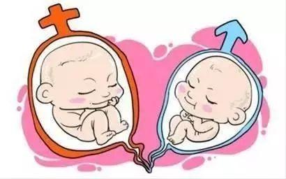 供卵代孕咨询公司
