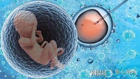 林主任